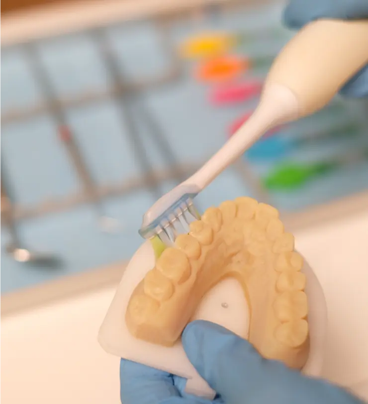 Demonstration der Zahnpflege mit einer elektrischen Zahnbürste an einem Zahnmodell